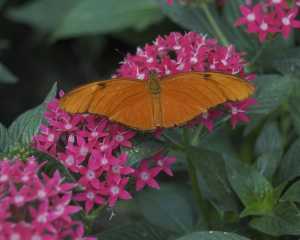 DSC_5156 DSC_5156
