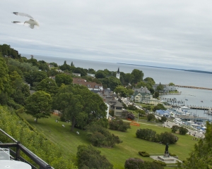 DSC_5232 DSC_5232