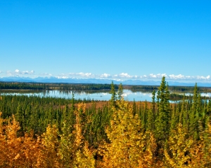 Fall-Foliage-along-the-Alaska-Hwy-_1_