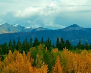 Fall-Foliage-along-the-Alaska-Hwy-_4_