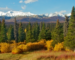 Fall-Foliage-along-the-Alaska-Hwy-_5_