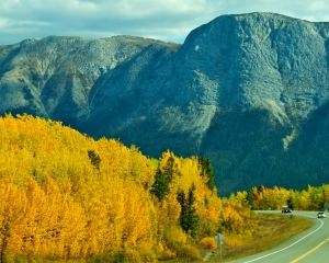 Fall-Foliage-along-the-Alaska-Hwy-_6_