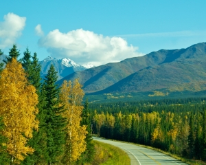Fall-Foliage-along-the-Alaska-Hwy