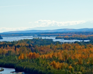 Tanana-River