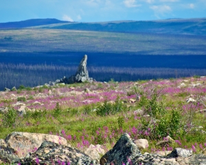 DSC_0131 DSC_0131