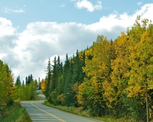 Fall-in-Denali