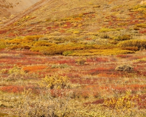 Sable-Pass-_3_ Sable-Pass-_3_