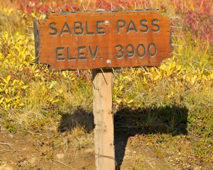 sign-with-nails-to-protect-it-from-the-bears sign-with-nails-to-protect-it-from-the-bears