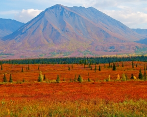 Alaska-Range-_1_