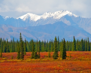 Alaska-Range-_4_