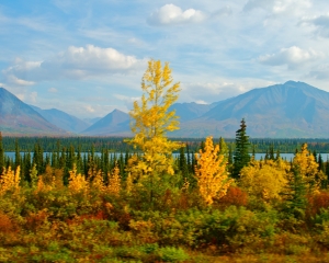 Alaska-Range-_6_