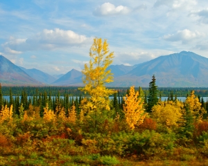 Alaska-Range-_6_