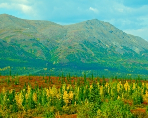 Alaska-Range-_8_