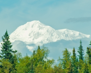 Denali