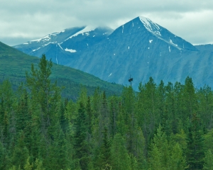 Chugach-National-Forest-_2_