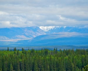 Wrangell-St_-Elias-National-Park