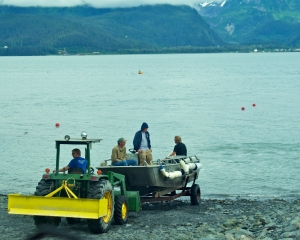 Boats-are-hauled-out-by-tractors