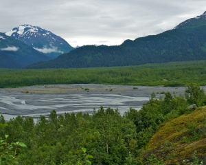 Scenic-view-from-Exit-Glacier-_1_