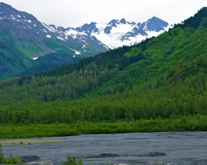 Scenic-view-from-Exit-Glacier-_2_