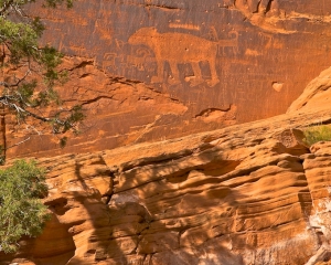 Petroglyphs