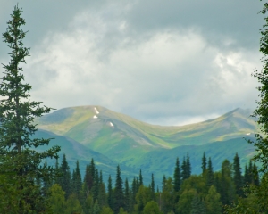 Peters-Hills-_foothills-to-Denali_