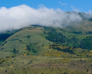 Ngorongoro Highlands