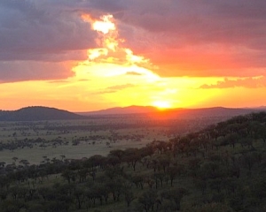 Serengeti Sunset