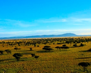 Africa-2018-Serengeti37