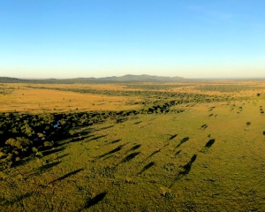 Sunrise over the Serengeti
