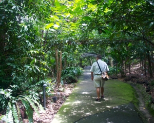 Botanical-339