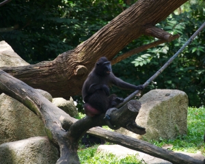 Zoo-404
