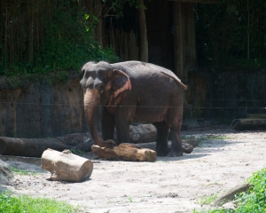 Zoo-407