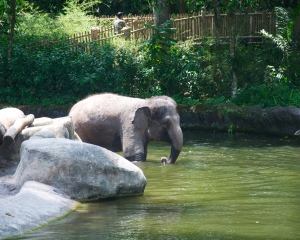 Zoo-408