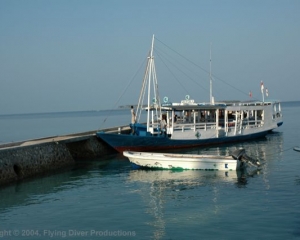 Wakatobi_Slides_005_1