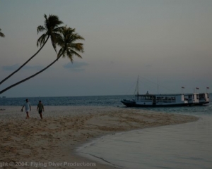 Wakatobi_Slides_008_1