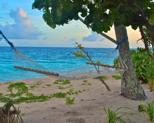 Ocean-view-hammock