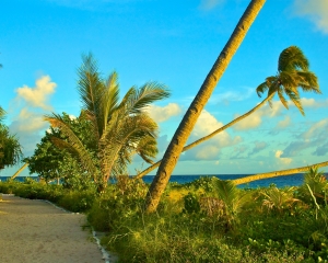 Wakatobi-beach-path