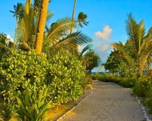 Wakatobi-paths-along-the-beach
