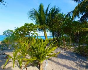 Beach-Path-_1_