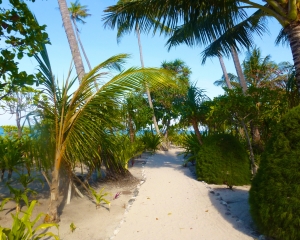 Beach-Path