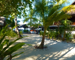 Dive-Equipment-Area