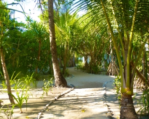 Garden-Path-to-Restaurant-_1_