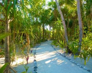 Garden-Path-to-Restaurant