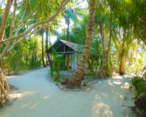 Laundry-Shed