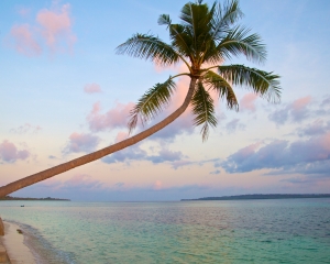 Relaxing-View-at-Sunset