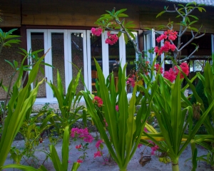 Restaurant-Landscaping