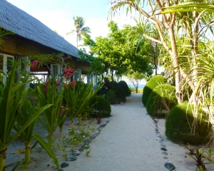 Restaurant-_1_