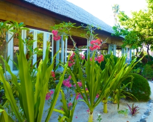 Restaurant-_2_