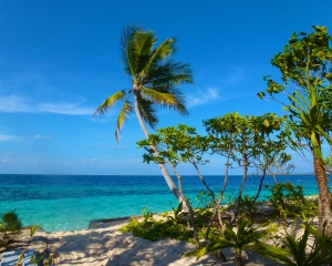 South-Side-of-Resort