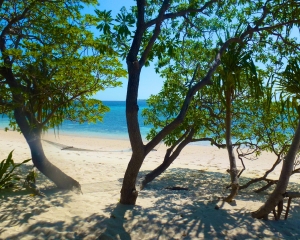 View-from-Bungalow-1